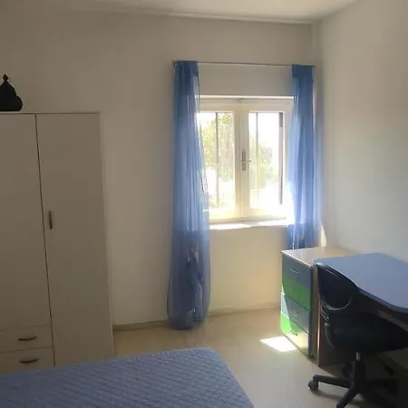 Mimose * Ольбия